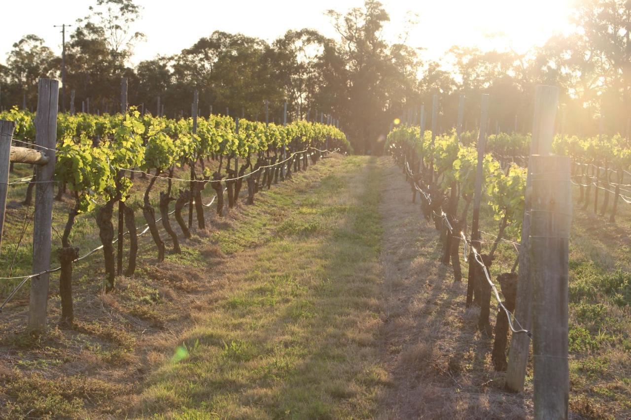 Blueberry Hill Vineyard Stay Rothbury Eksteriør bilde