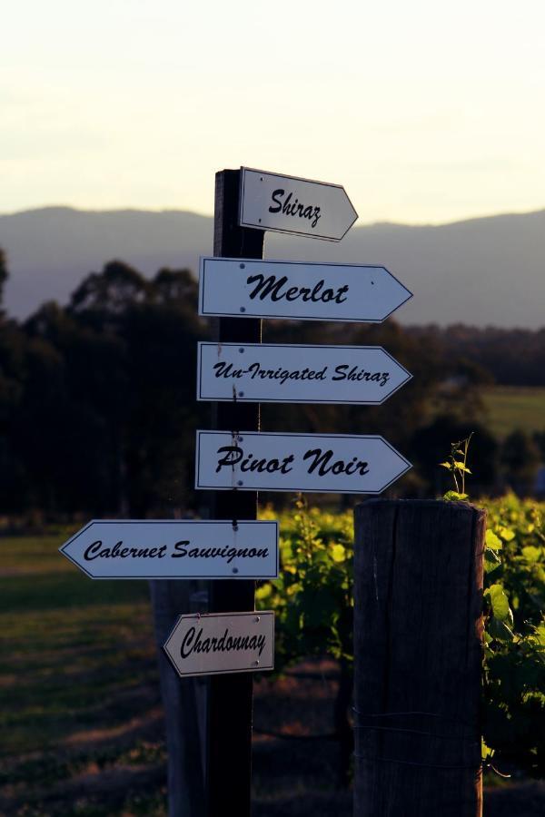 Blueberry Hill Vineyard Stay Rothbury Eksteriør bilde